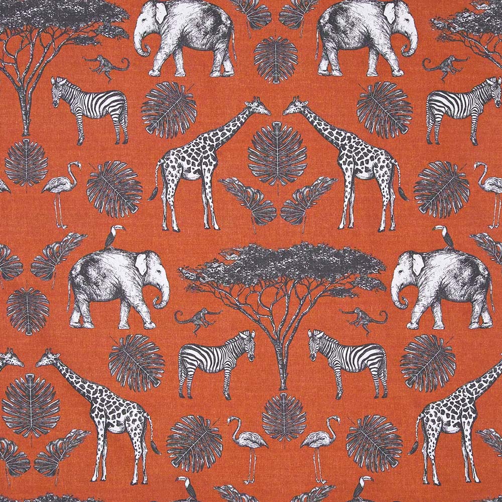 Africa
