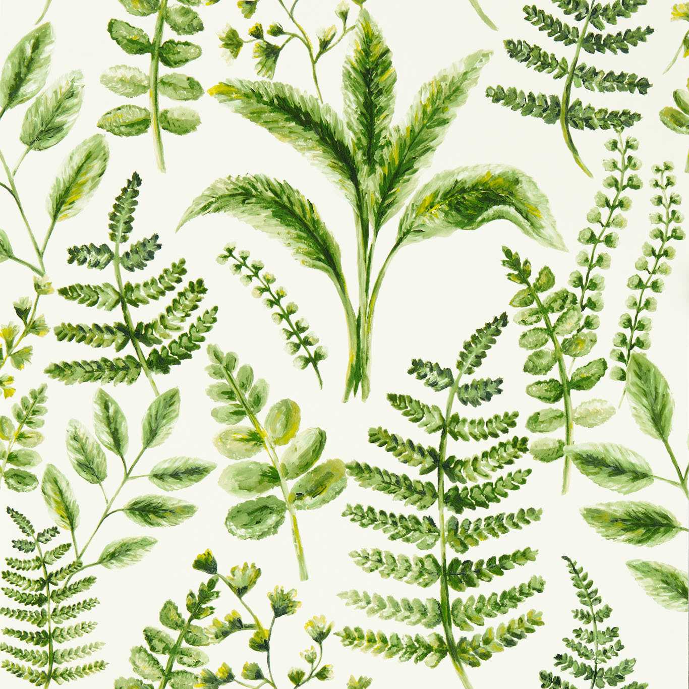 Bracken