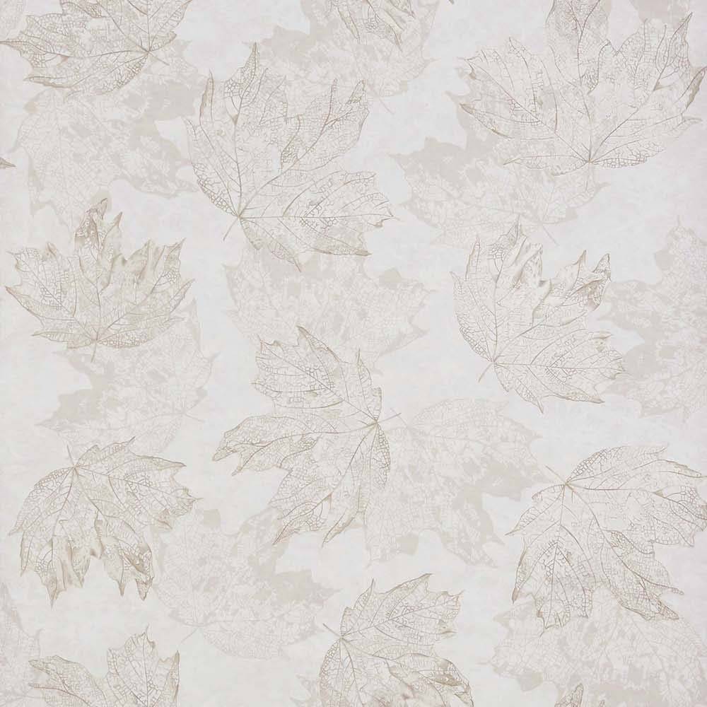 Sycamore