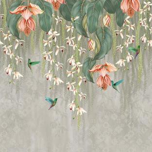 Trailing Orchid