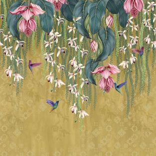 Trailing Orchid