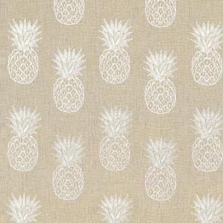 Pina Colada