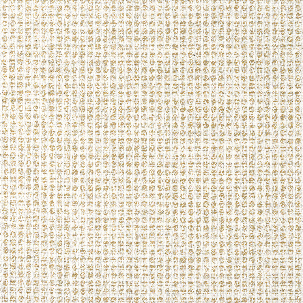 Remy Dot