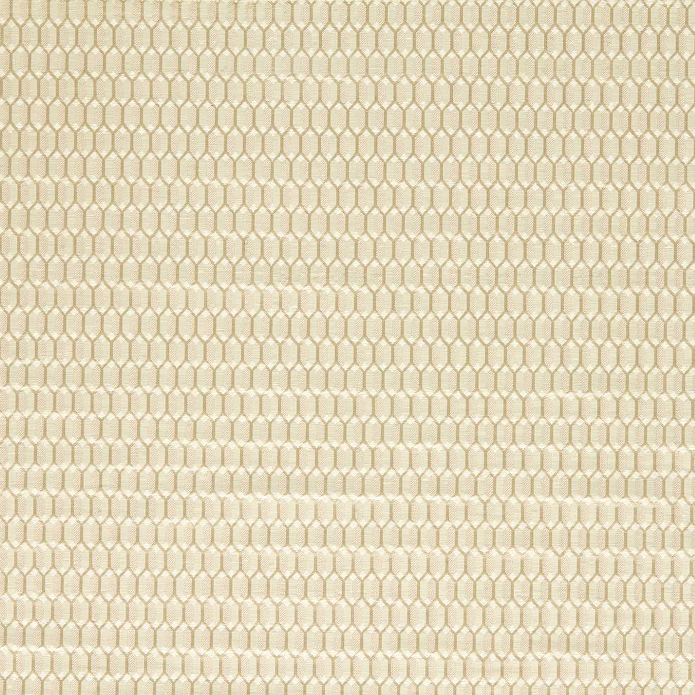 Domino Trellis