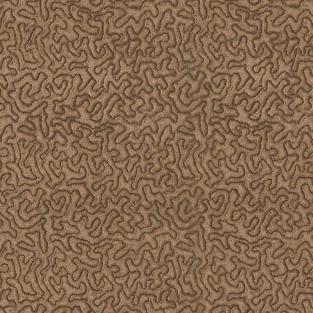 Maze