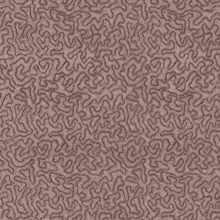 Maze