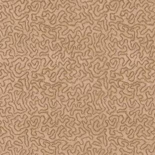 Maze