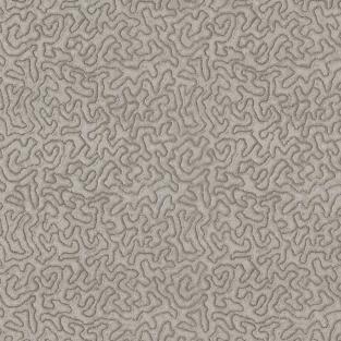 Maze