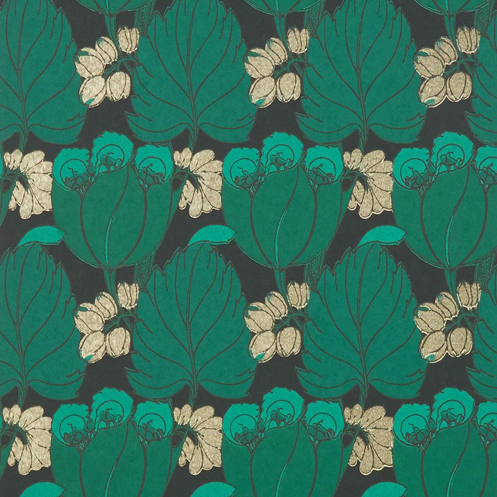 Regency Tulip