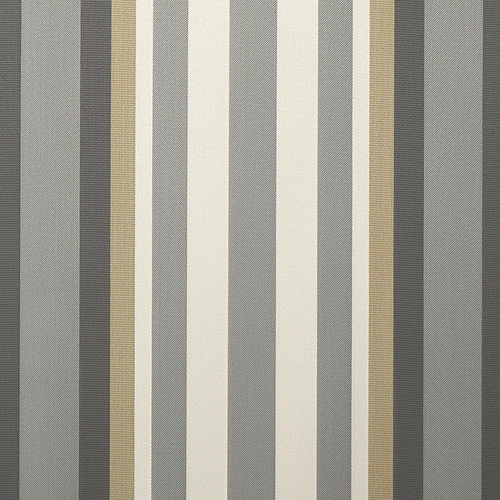 Arlo Stripe