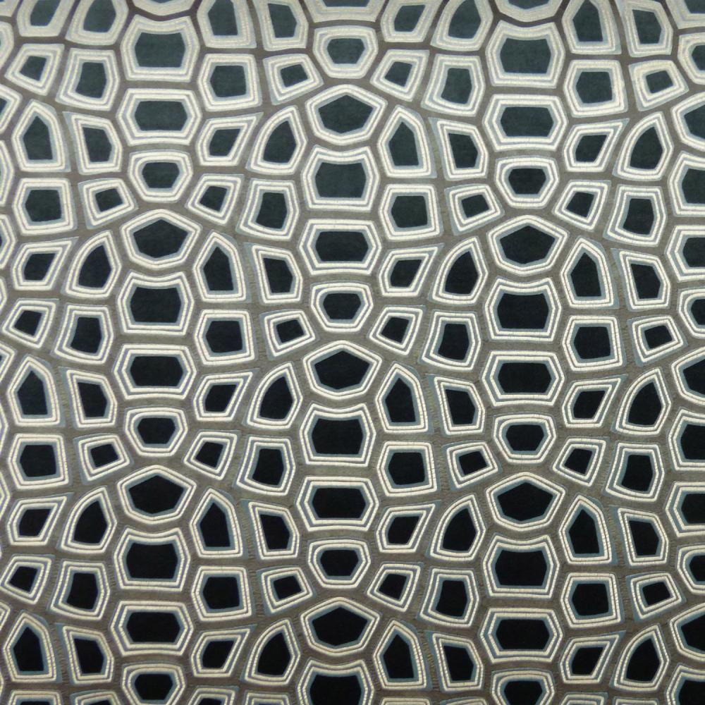 Carapace