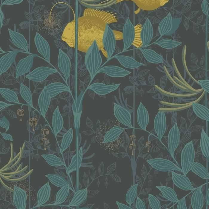 Nautilus