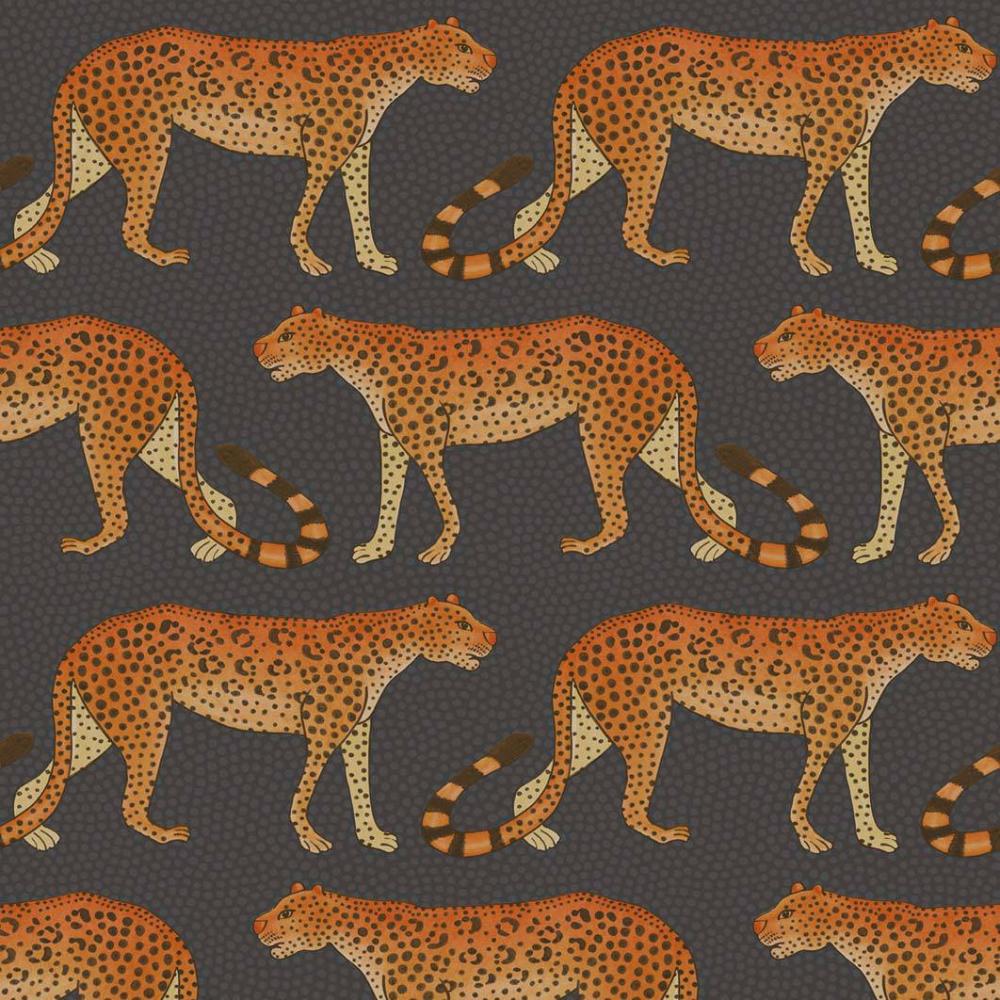 Leopard Walk