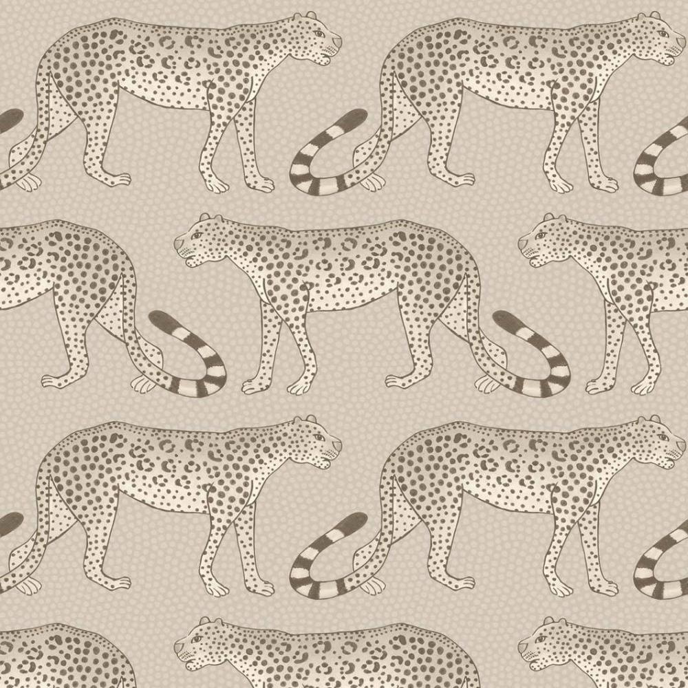 Leopard Walk
