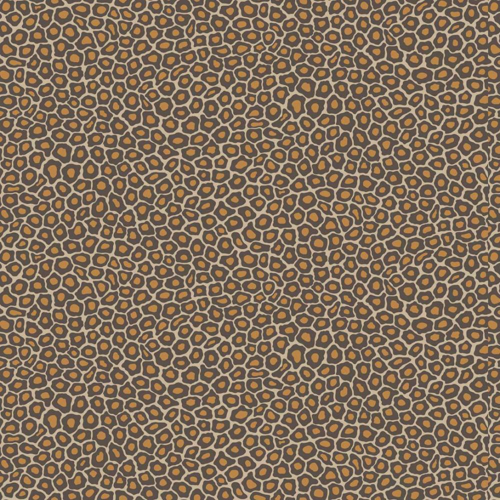 Senzo Spot