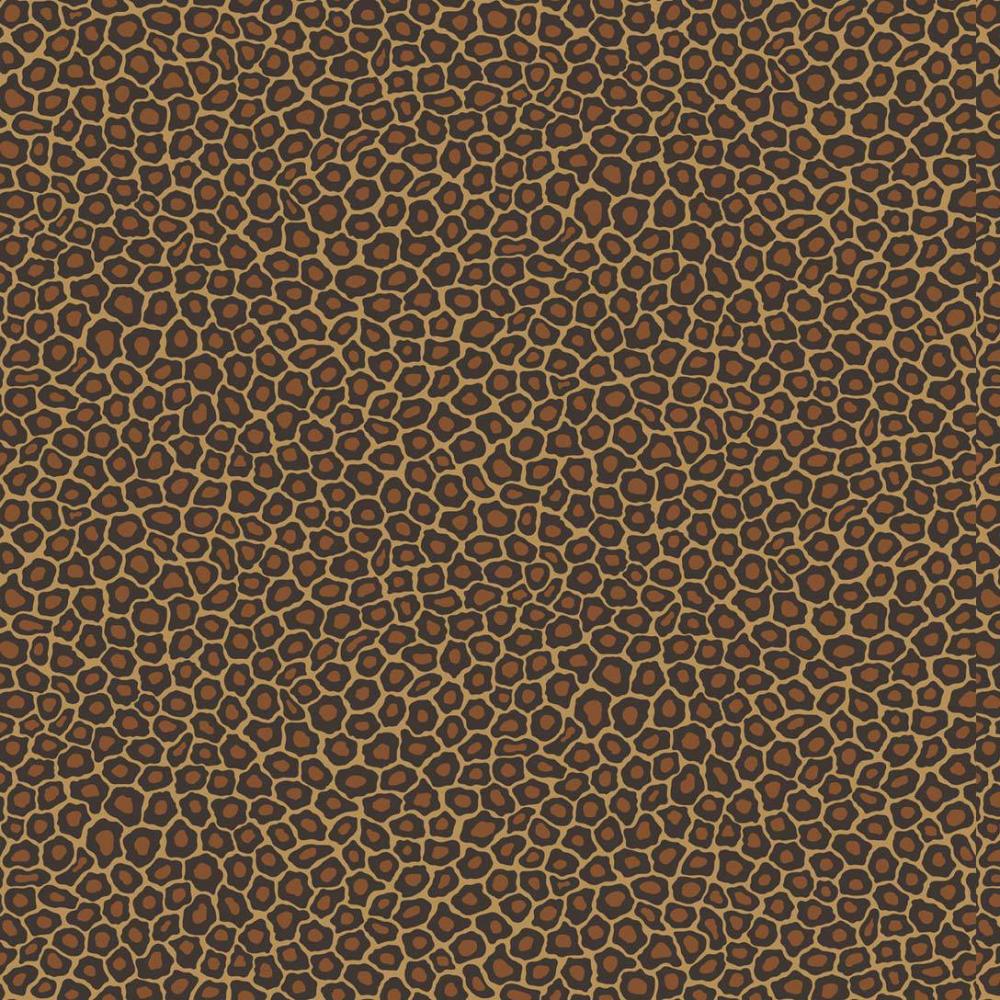 Senzo Spot