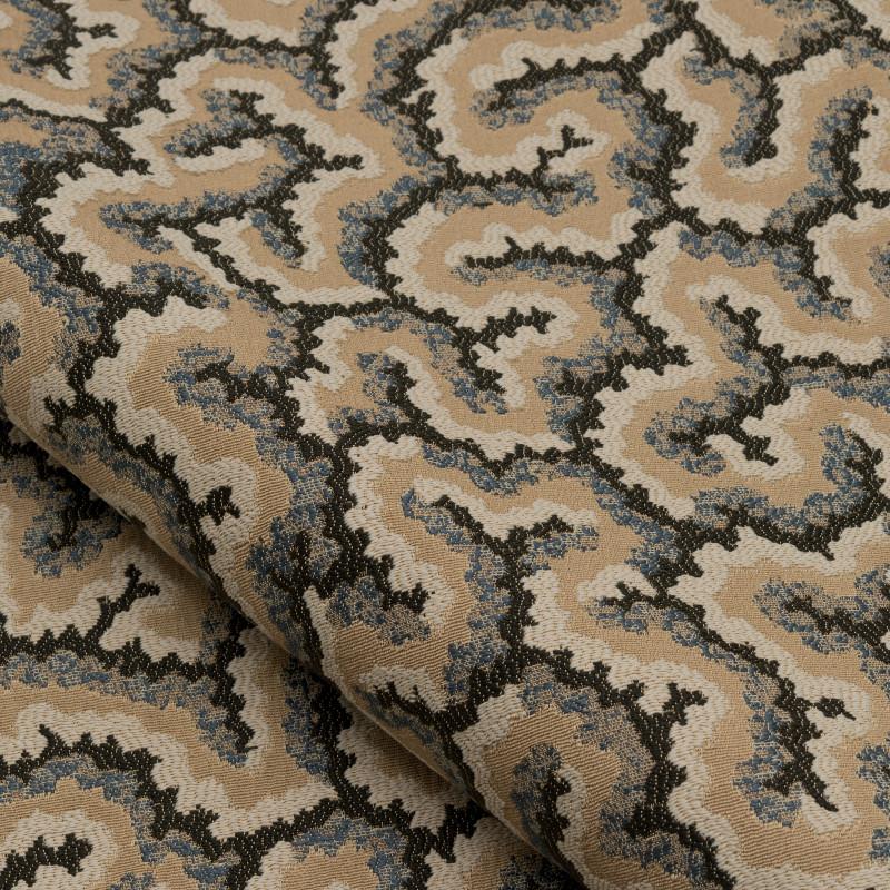 Lophelia