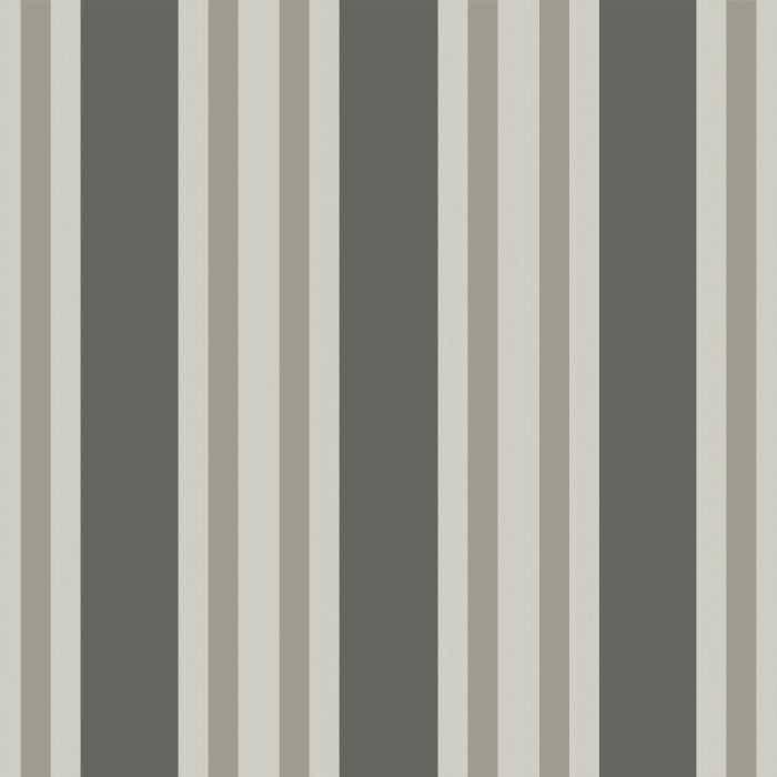 Polo Stripe