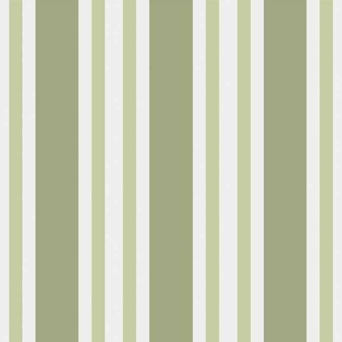 Polo Stripe