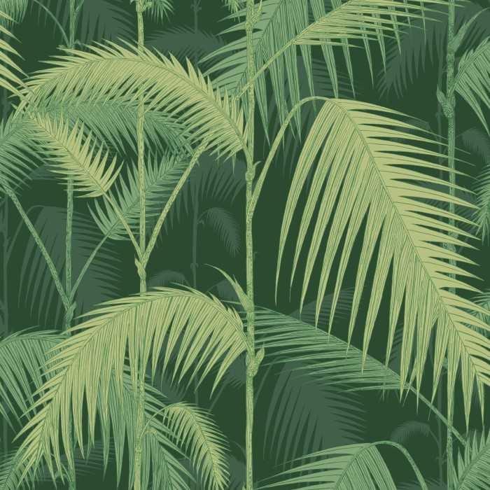 Palm Jungle