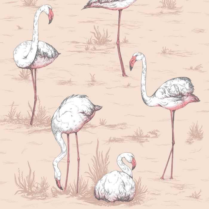 Flamingos