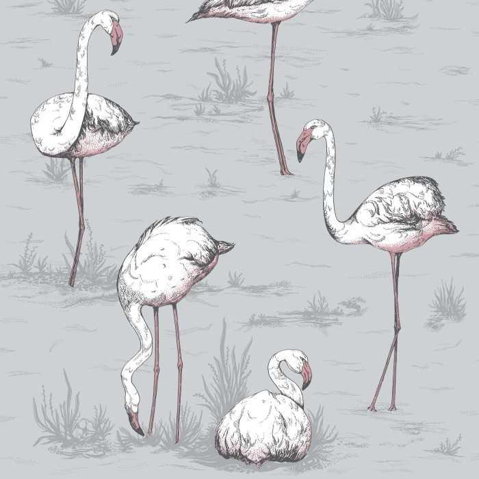 Flamingos