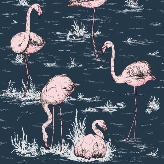 Flamingos