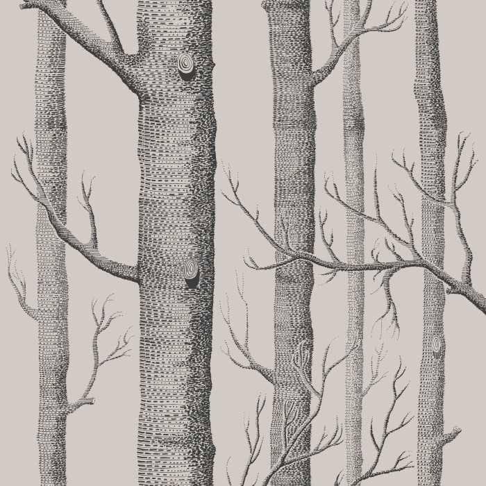 Woods
