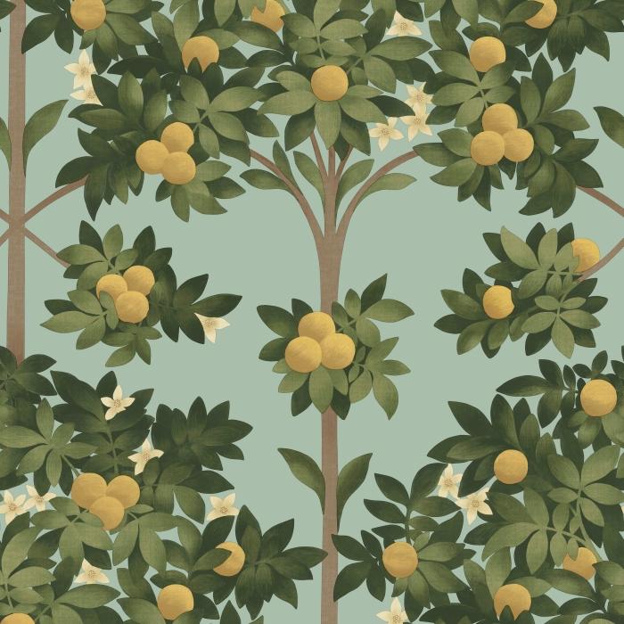 Orange Blossom