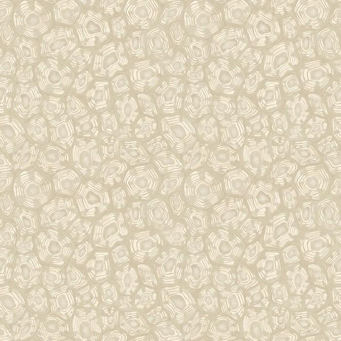 Savanna Shell
