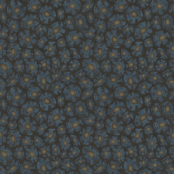 Savanna Shell