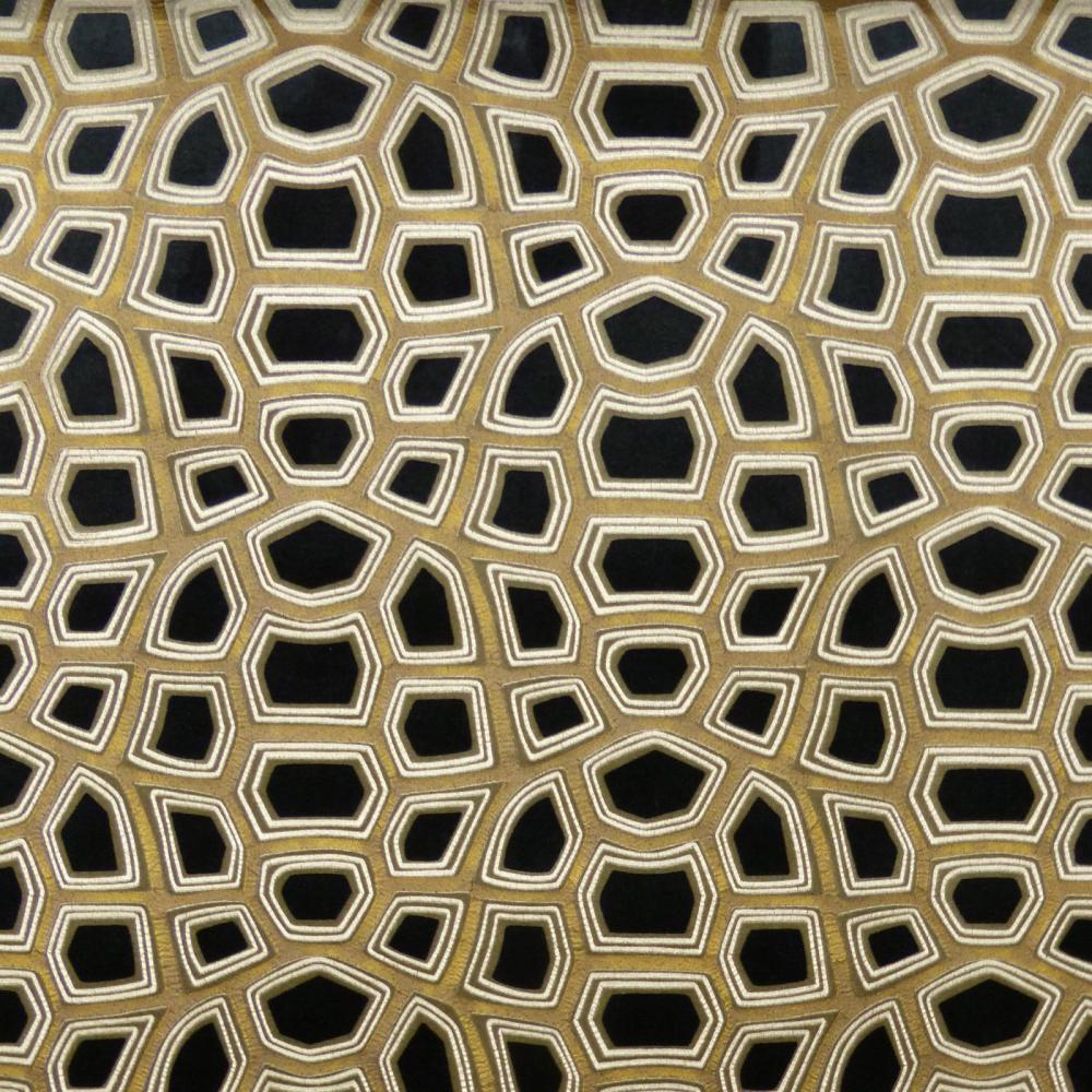 Carapace