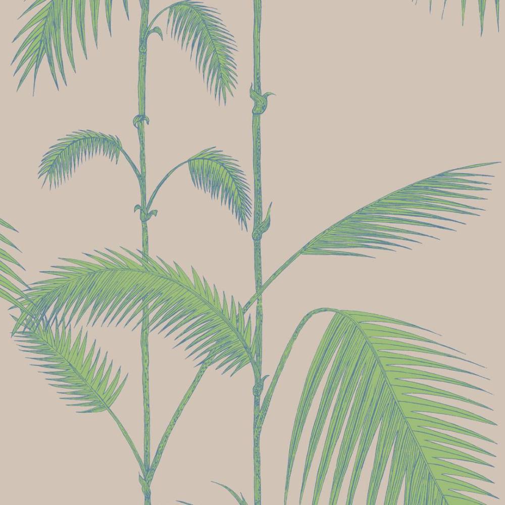 Palm Leaves