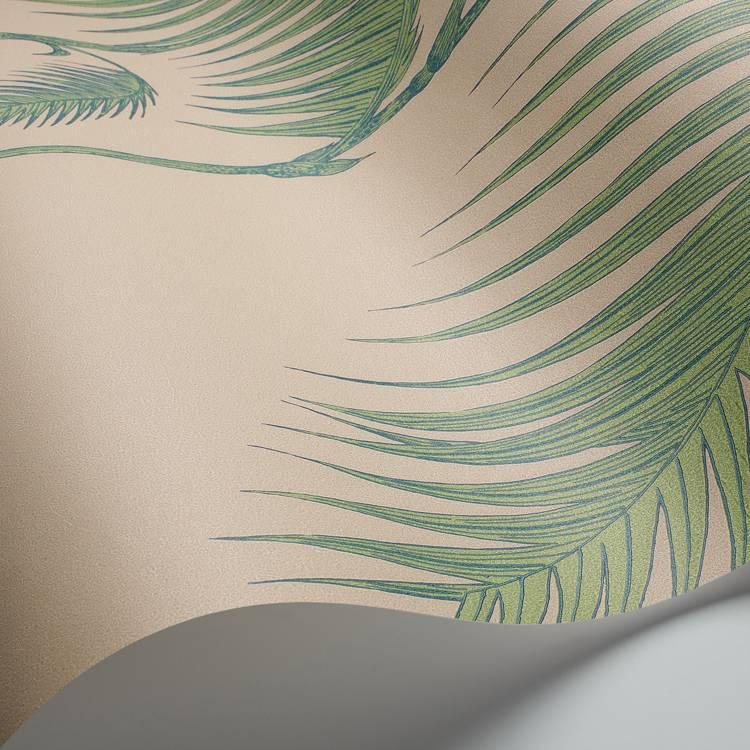 Palm Leaves