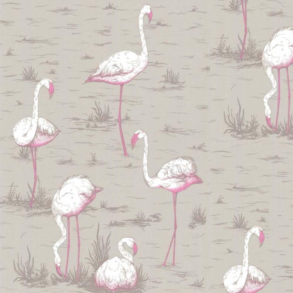 Flamingos