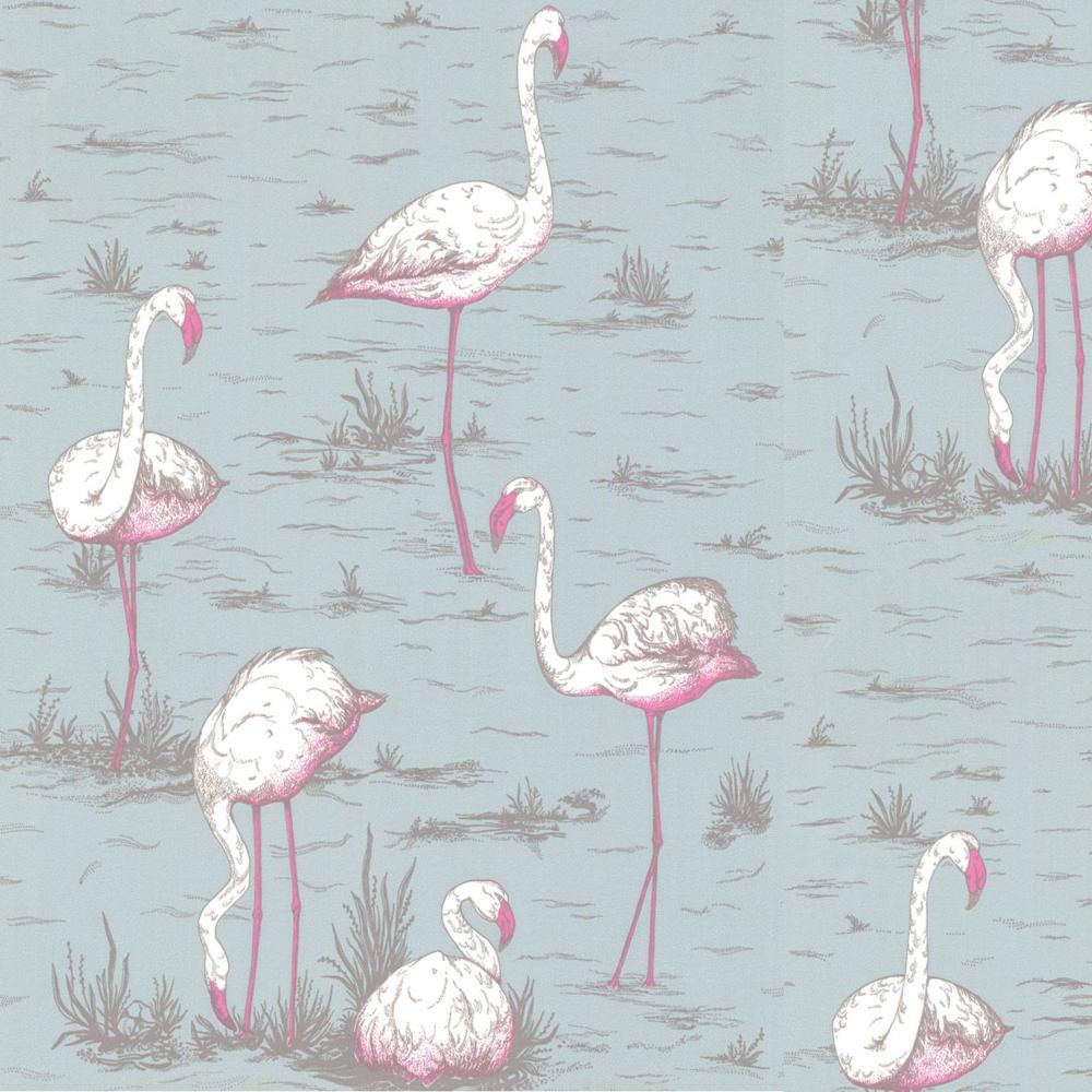 Flamingos