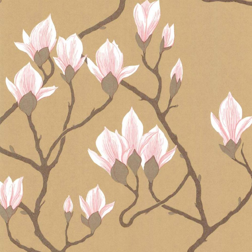 Magnolia