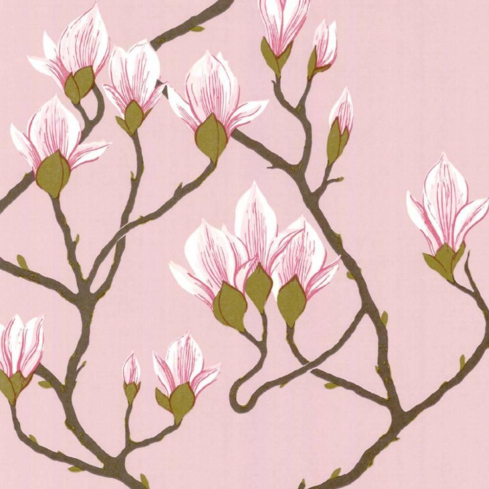 Magnolia