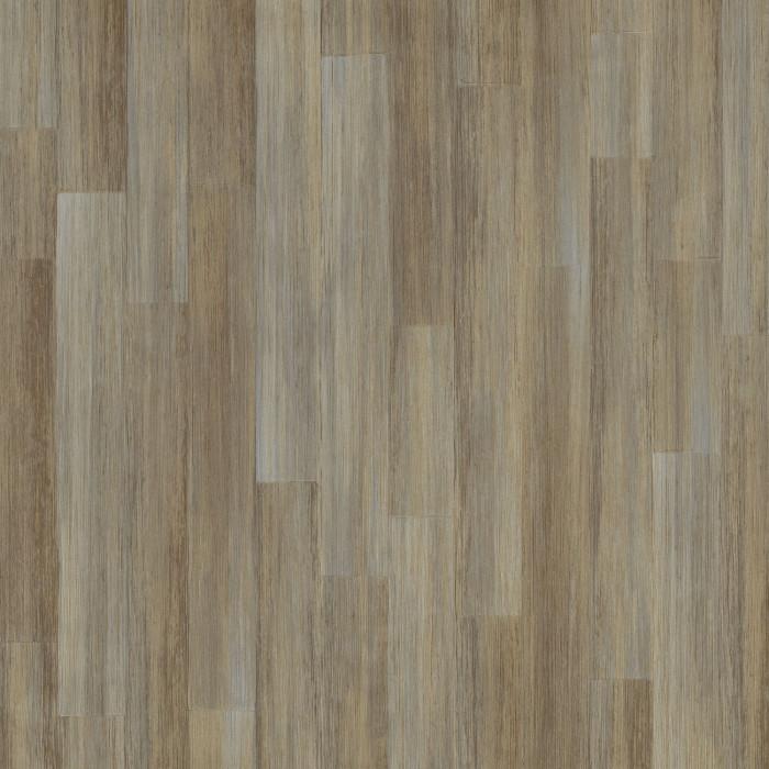 Sapelli