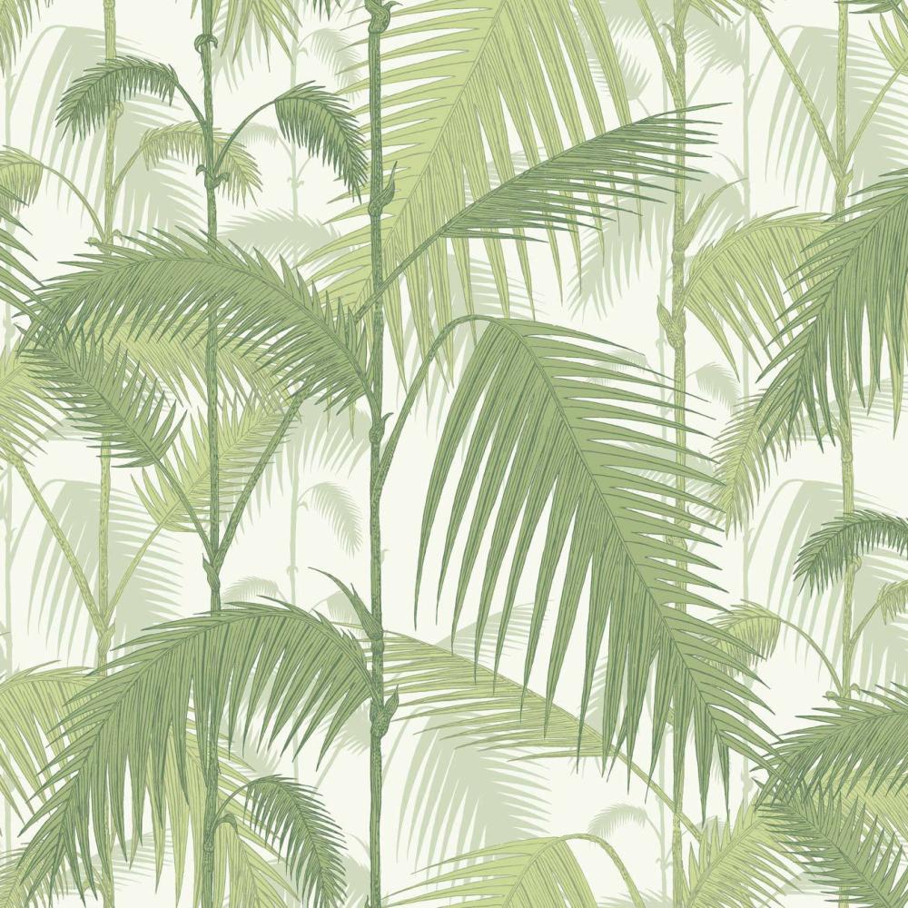 Palm Jungle