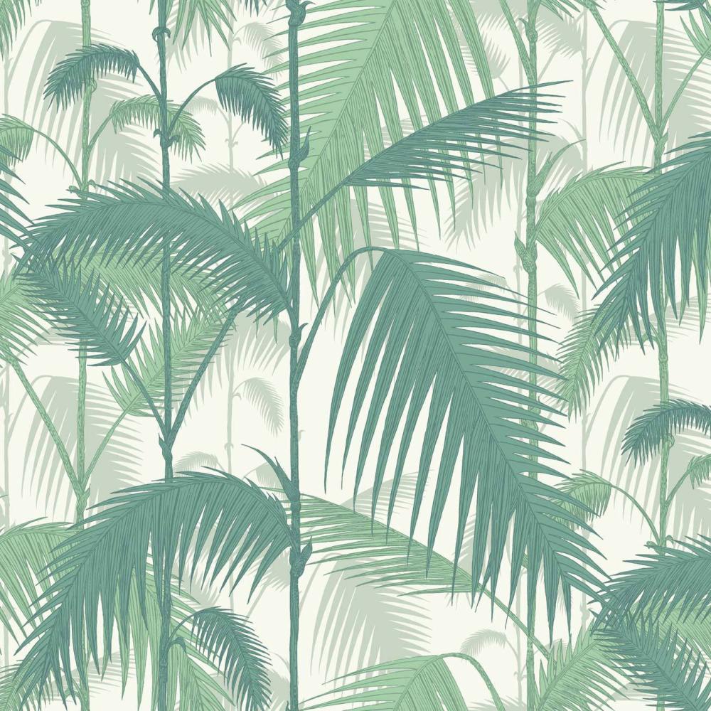 Palm Jungle