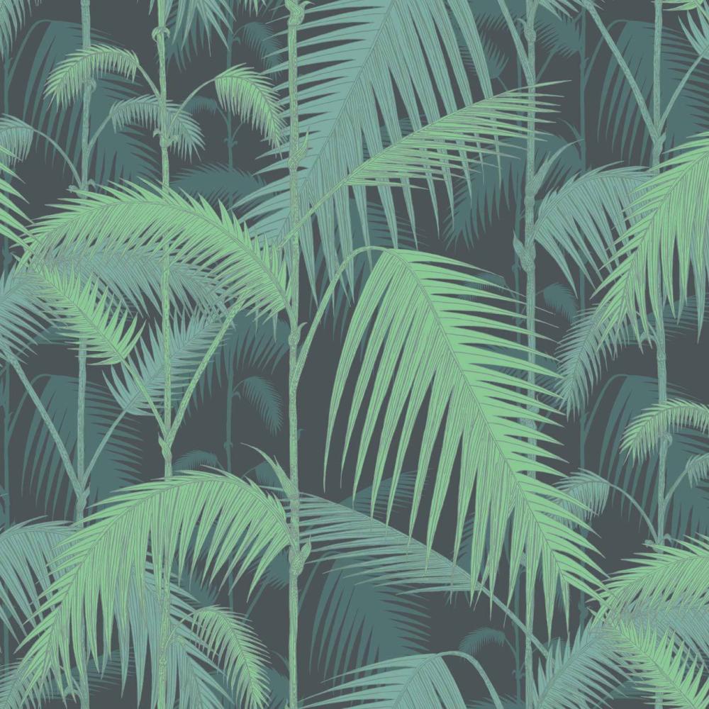 Palm Jungle