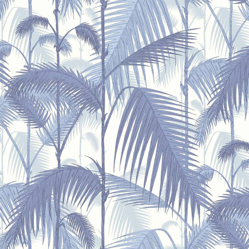 Palm Jungle