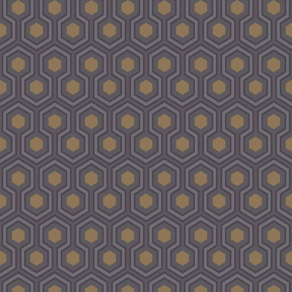 Hicks Hexagon