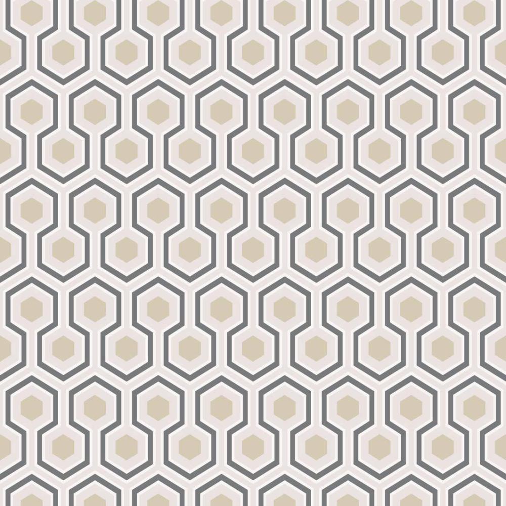 Hicks Hexagon