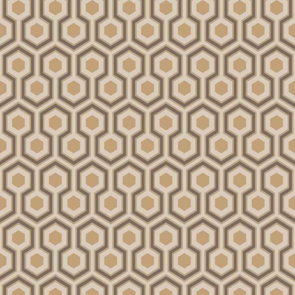 Hicks Hexagon