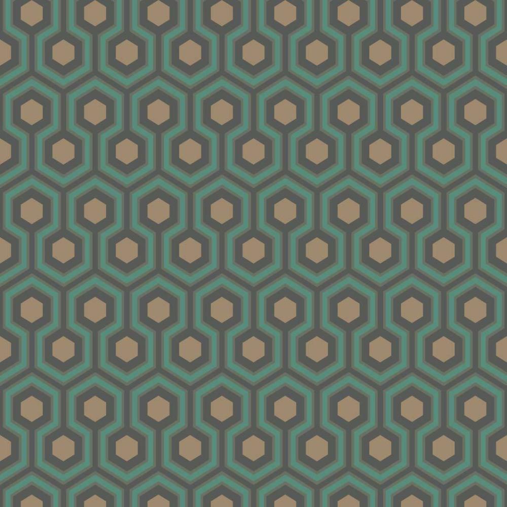 Hicks Hexagon