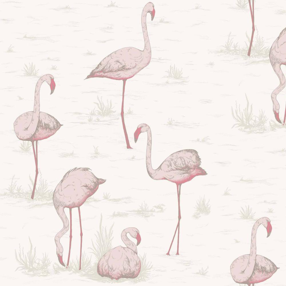 Flamingos