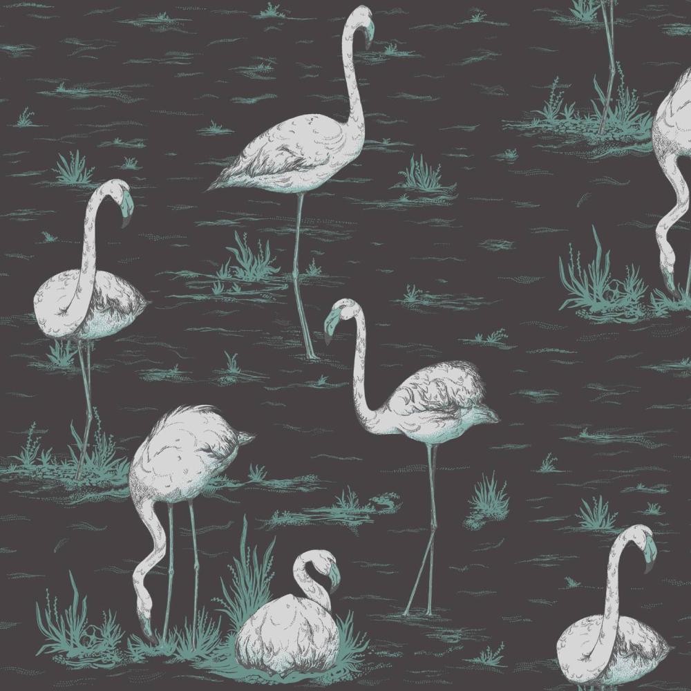 Flamingos