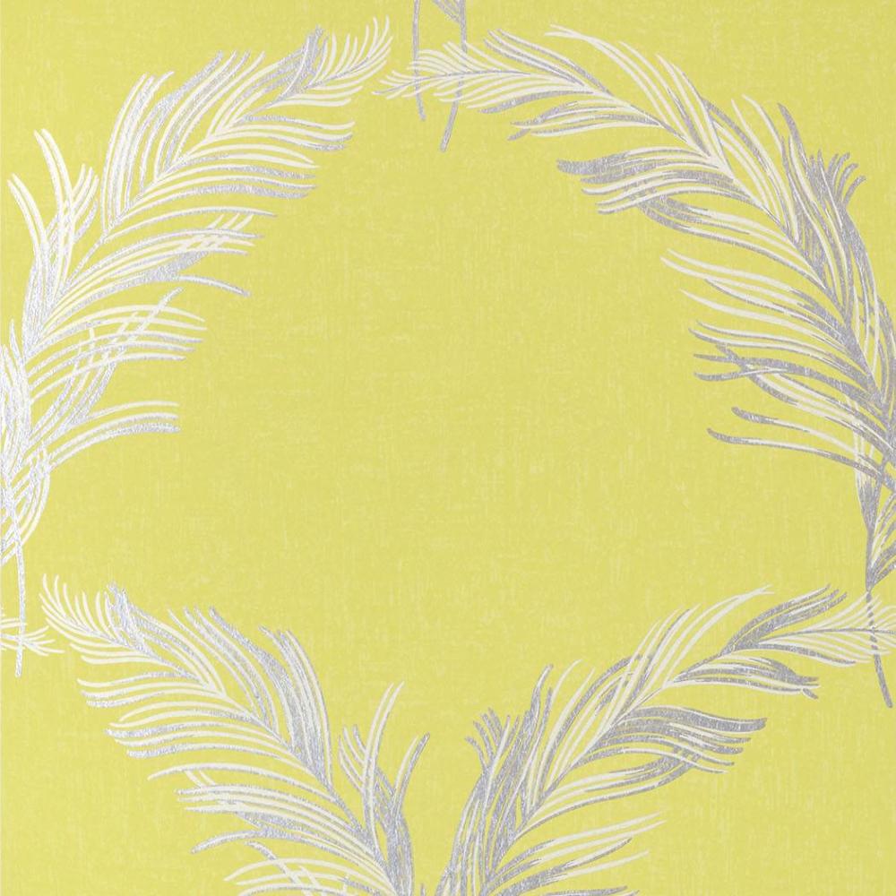 Plumes